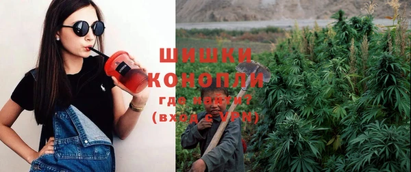 спайс Алзамай