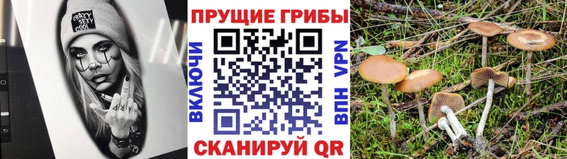 Псилоцибиновые грибы мицелий  как найти закладки  МЕГА   Пласт 